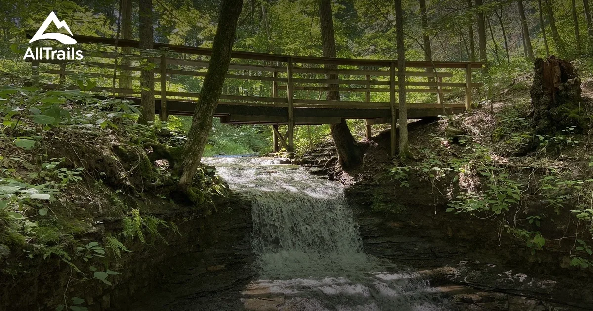 Charlestown Park photo