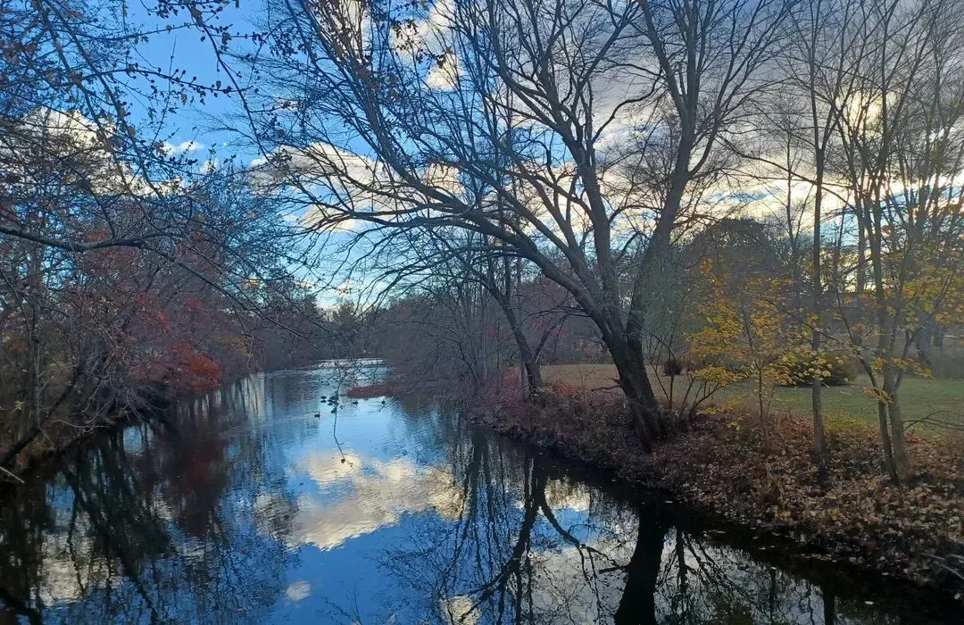 Lenape Park photo